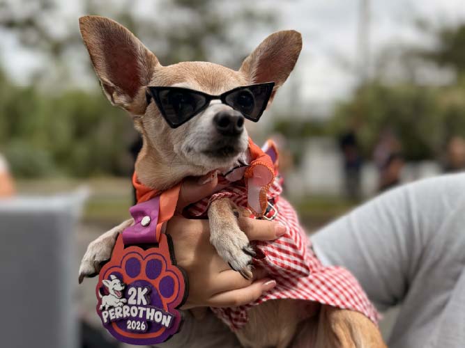 Perrothon 2026 reunió a cientos de familias y logró recolectar una tonelada de alimento para fundaciones animalistas